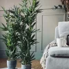 VIAMAJA Blomster<Bambus i potte 110cm