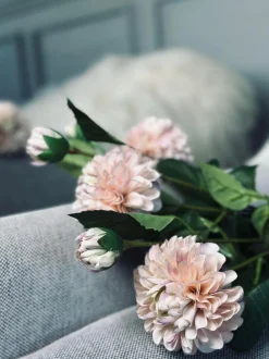 VIAMAJA Blomster<Blomst Dahlia