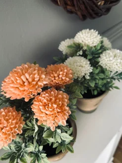 VIAMAJA Blomster|Påske<Blomst i rustik potte - Coral