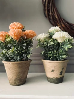 VIAMAJA Blomster|Påske<Blomst i rustik potte - Coral