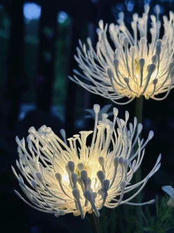 VIAMAJA Lys Og Led|Udendørs Led<Blomst med solceller - Spider Lili hvid