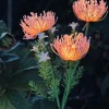 VIAMAJA Lys Og Led|Udendørs Led<Blomst med solceller - Spider Lili rose