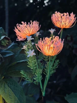 VIAMAJA Lys Og Led|Udendørs Led<Blomst med solceller - Spider Lili rose