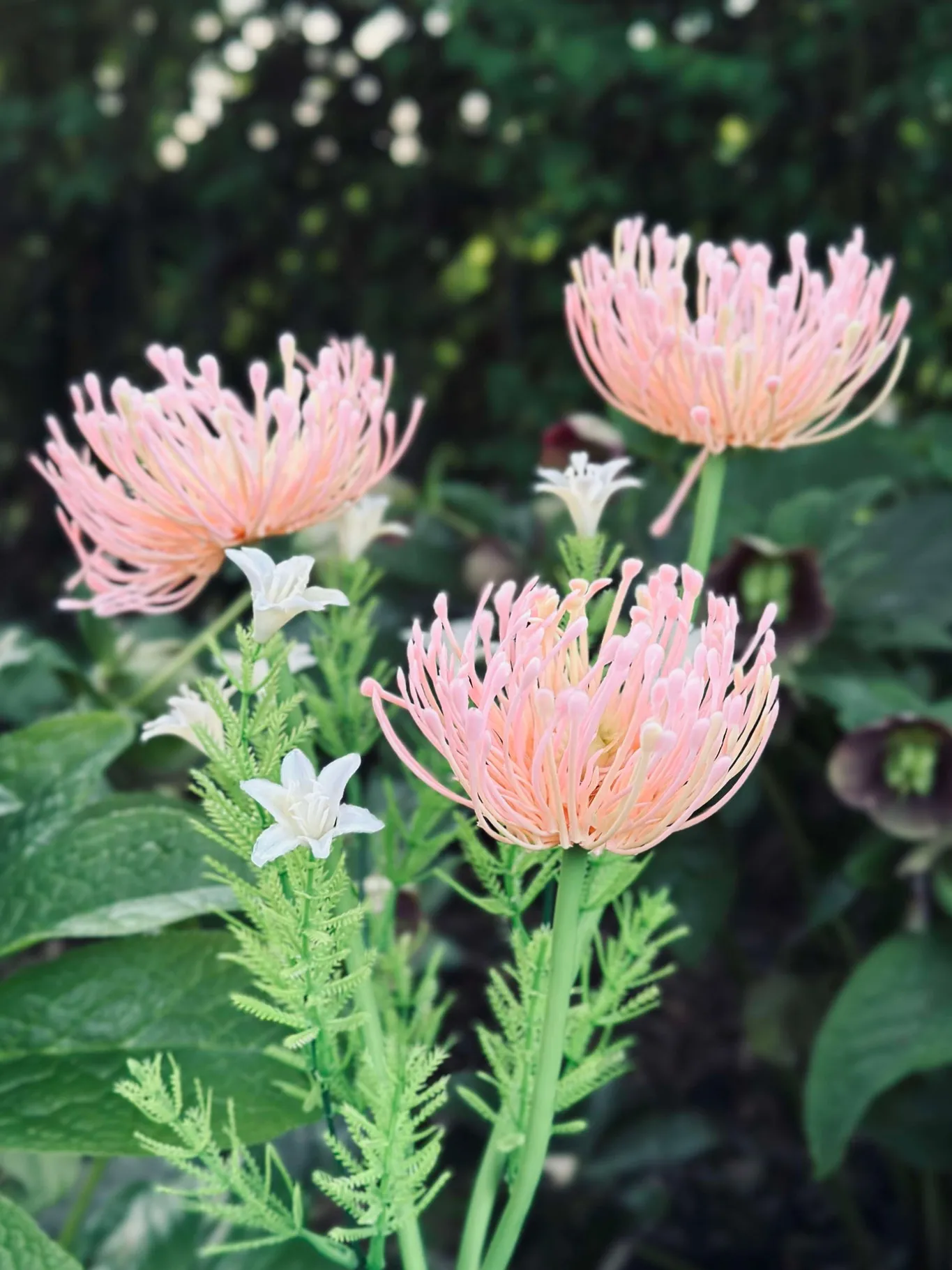 VIAMAJA Lys Og Led|Udendørs Led<Blomst med solceller - Spider Lili rose