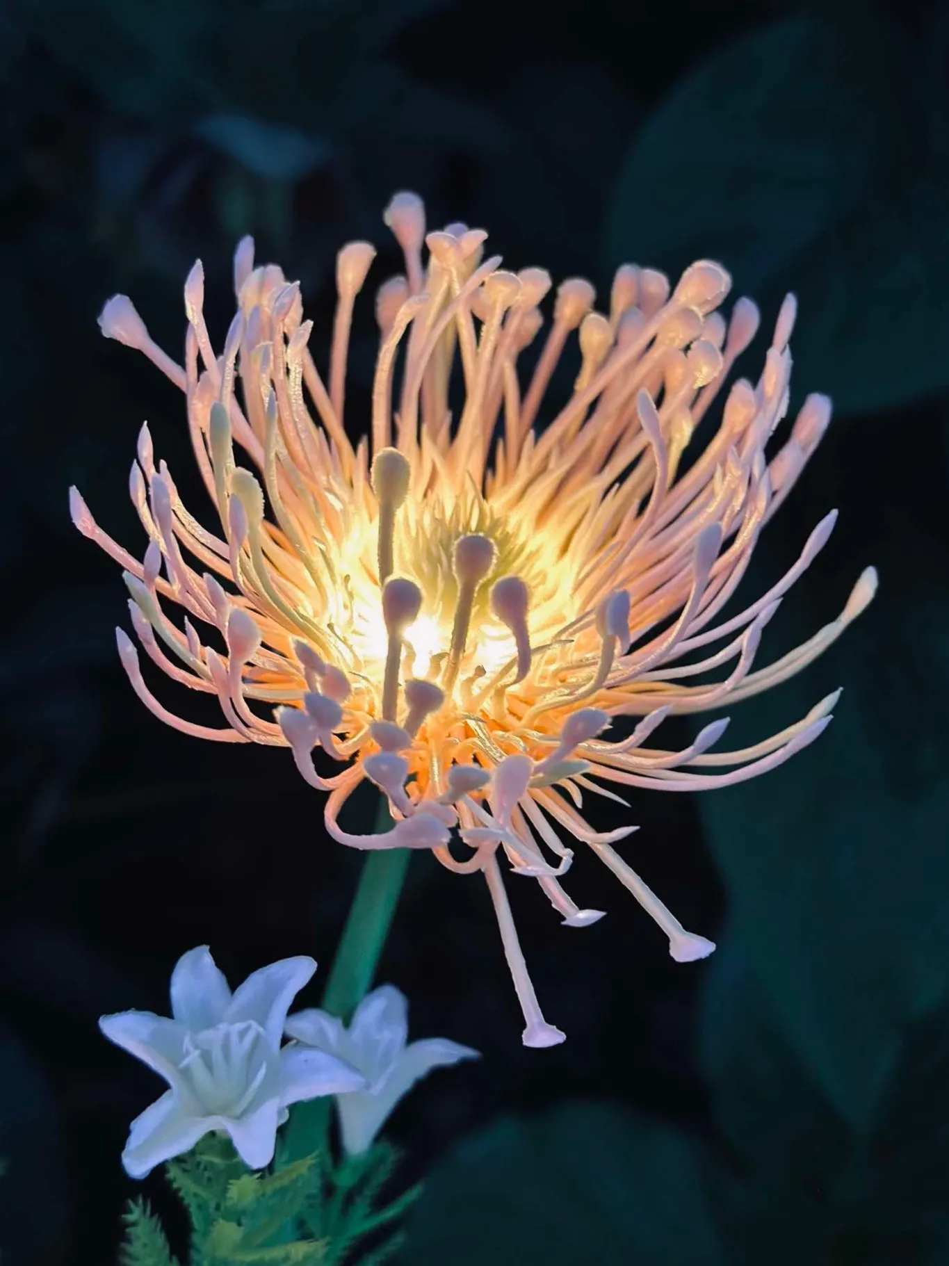 VIAMAJA Lys Og Led|Udendørs Led<Blomst med solceller - Spider Lili rose