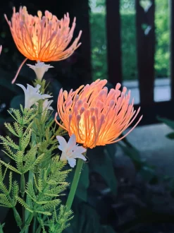 VIAMAJA Lys Og Led|Udendørs Led<Blomst med solceller - Spider Lili rose