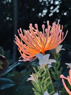 VIAMAJA Lys Og Led|Udendørs Led<Blomst med solceller - Spider Lili rose
