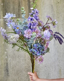 VIAMAJA Blomster<Blomst nellike