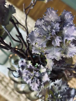 VIAMAJA Blomster<Blomst nellike
