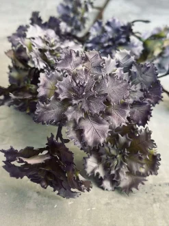 VIAMAJA Blomster<Blomst nellike