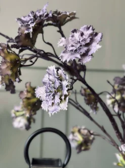 VIAMAJA Blomster<Blomst nellike