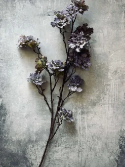 VIAMAJA Blomster<Blomst nellike