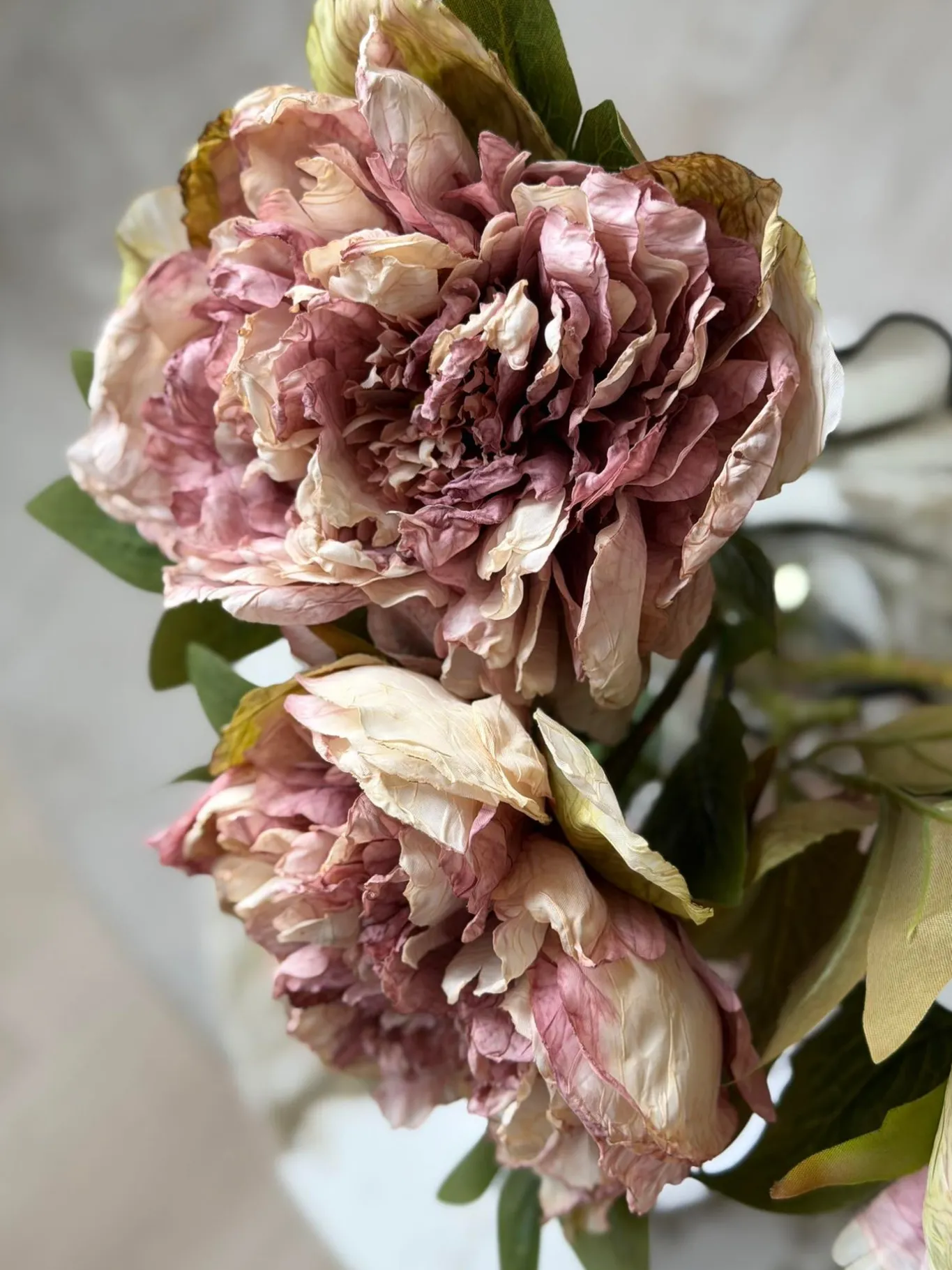 VIAMAJA Blomster<Blomst Pæon - Antik Cream / rosa