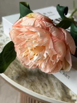 VIAMAJA Blomster<Blomst Pæon - Sart rosa 70cm