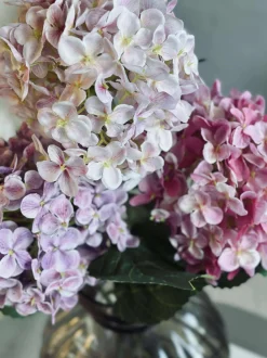 VIAMAJA Blomster<Buket - Hortensia Pink / Lilla