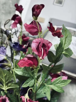 VIAMAJA Blomster<Buket GARDEN - Lilla