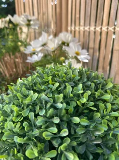 VIAMAJA Blomster<Buksbom kugle 30cm