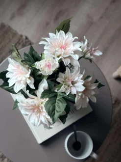 VIAMAJA Blomster<Dahlia i potte - Hvid