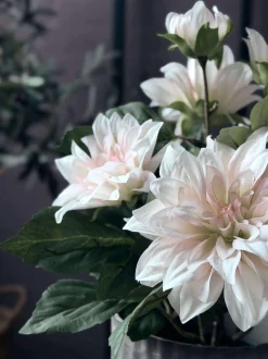 VIAMAJA Blomster<Dahlia i potte - Hvid