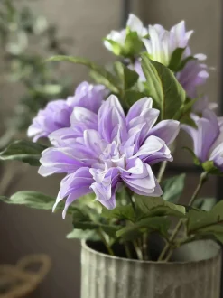 VIAMAJA Blomster<Dahlia i potte - Lilla