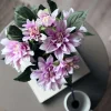 VIAMAJA Blomster<Dahlia i potte - Lyserød