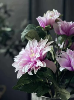 VIAMAJA Blomster<Dahlia i potte - Lyserød