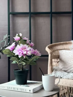 VIAMAJA Blomster<Dahlia i potte - Lyserød