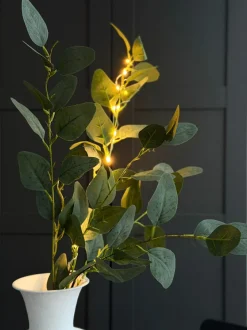 VIAMAJA Blomster<Eucalyptus gren med lys - 100cm