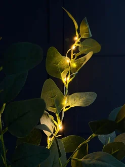 VIAMAJA Blomster<Eucalyptus gren med lys - 100cm