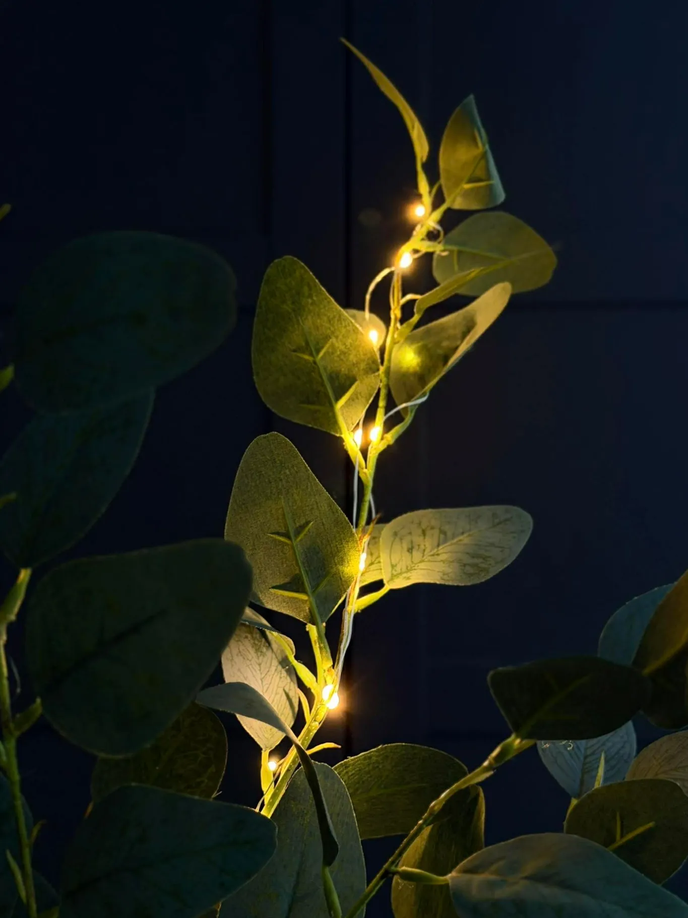 VIAMAJA Blomster<Eucalyptus gren med lys - 100cm