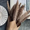 VIAMAJA Blomster<Evighedsbuket - Luffa Sand