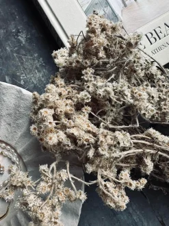 VIAMAJA Blomster<Evighedsbuket Gypsy Natur