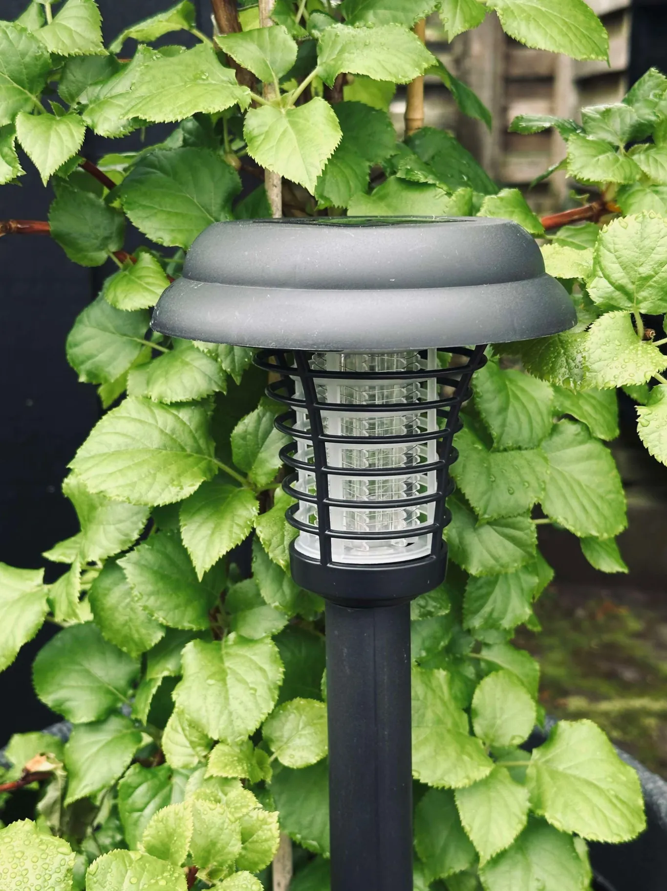 VIAMAJA Udendørs Led|Led Solceller<Fakkel MOSQUITO 2IN1 SOLAR