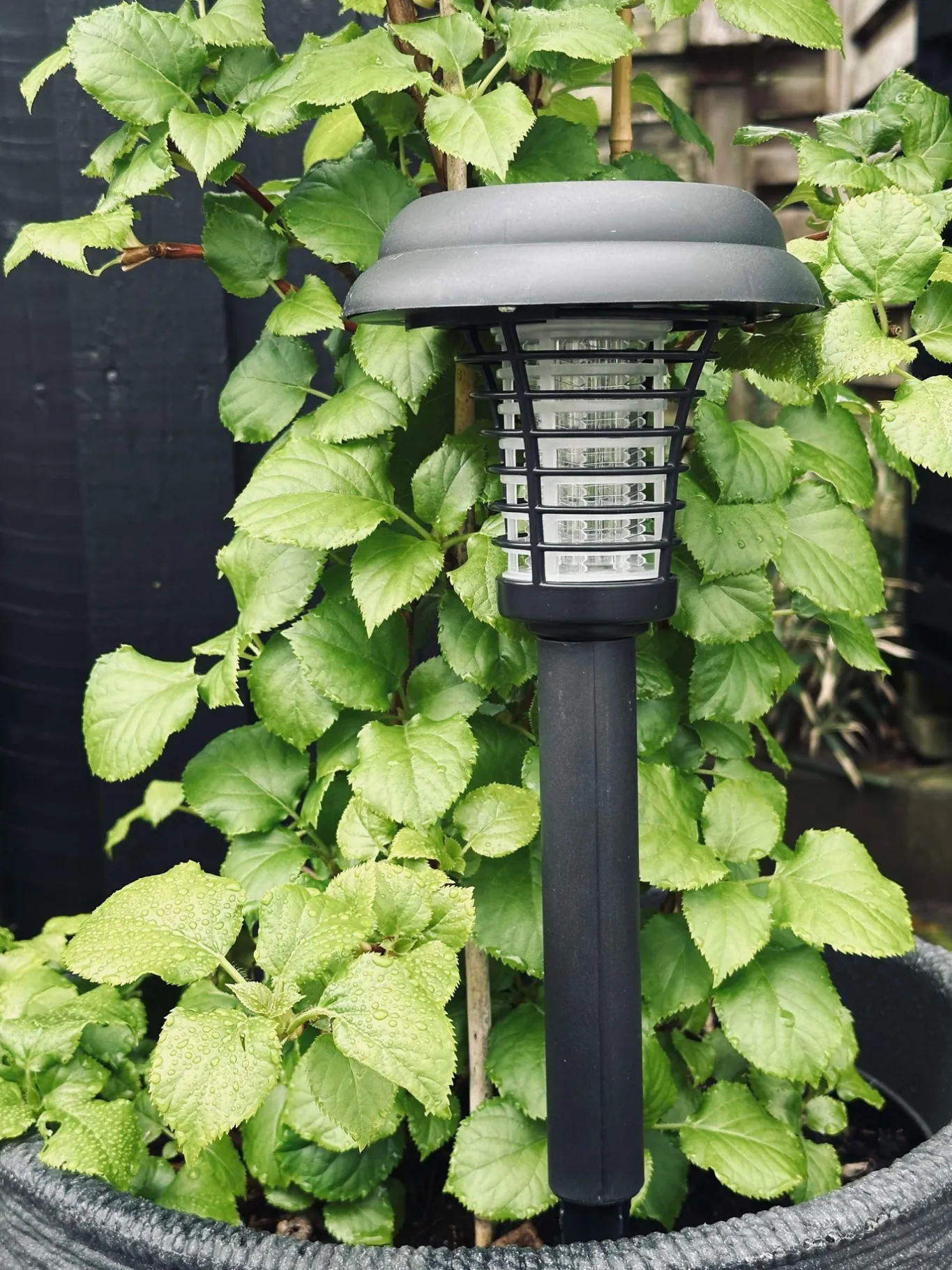 VIAMAJA Udendørs Led|Led Solceller<Fakkel MOSQUITO 2IN1 SOLAR