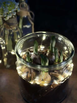 VIAMAJA Urtepotter|Påske<Glas til dekoration