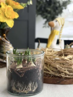 VIAMAJA Urtepotter|Påske<Glas til dekoration