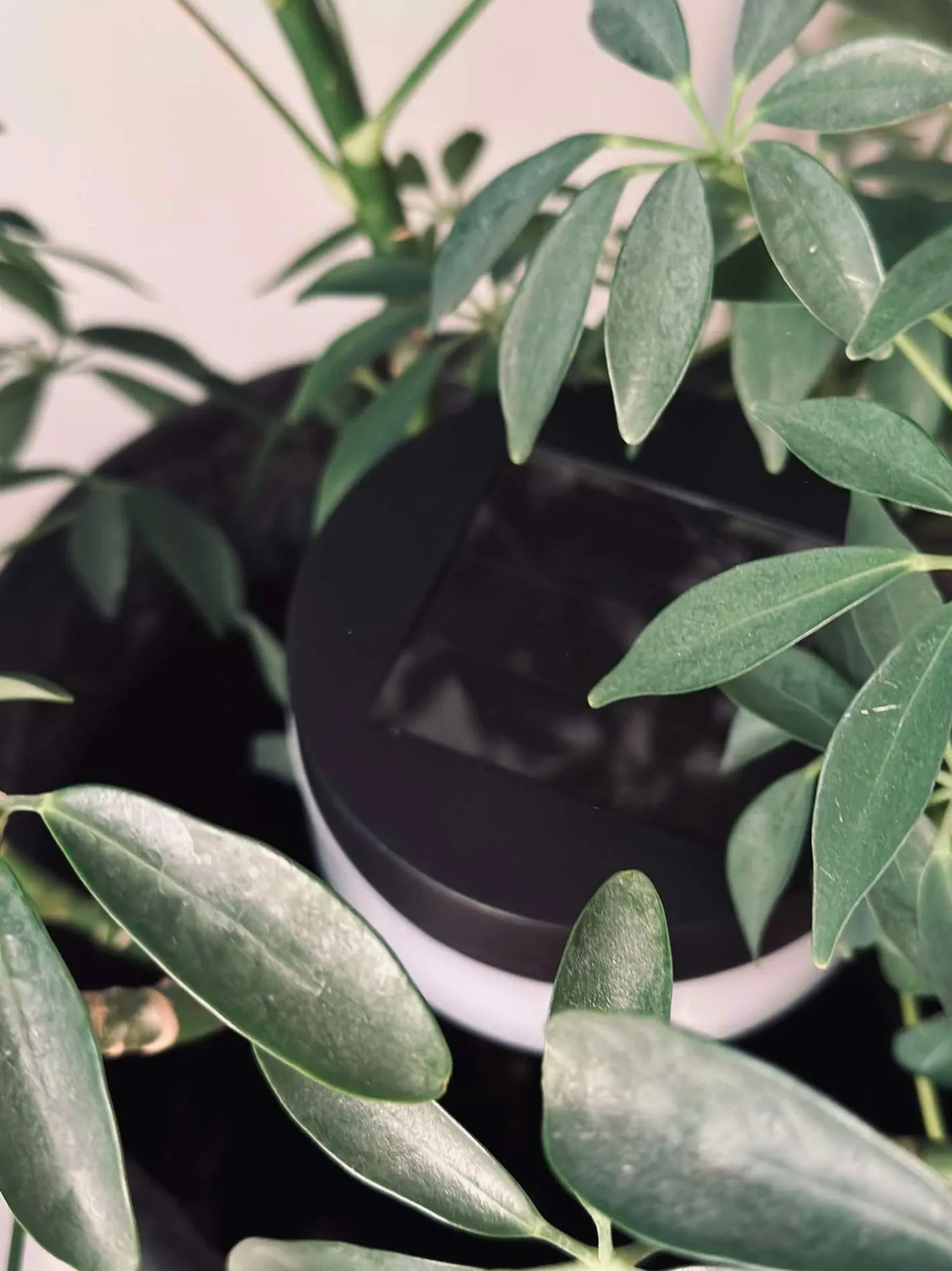VIAMAJA Lys Og Led|Udendørs Led<Havebelysning med solceller