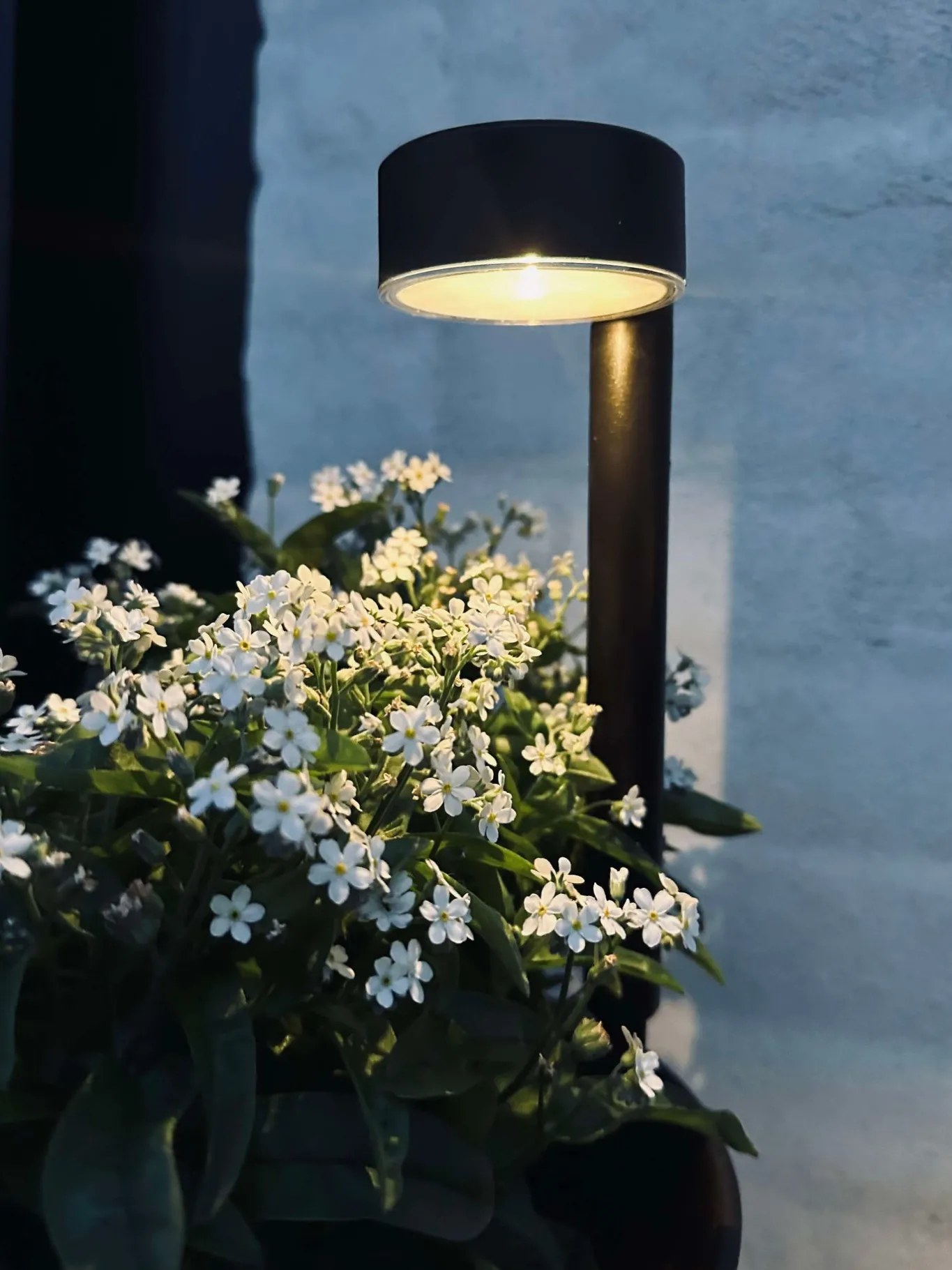 VIAMAJA Udendørs Led|Led Solceller<Havelampe Nancy med solar – Sæt med 4 stk.