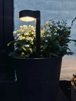 VIAMAJA Udendørs Led|Led Solceller<Havelampe Nancy med solar – Sæt med 4 stk.