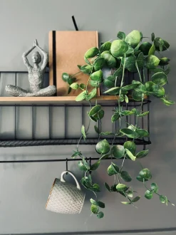 VIAMAJA Hænge Planter|Blomster<Hængeplante - Fresh green