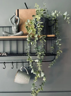VIAMAJA Hænge Planter|Blomster<Hængeplante - Mint grøn