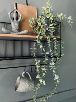 VIAMAJA Hænge Planter|Blomster<Hængeplante - Mint grøn