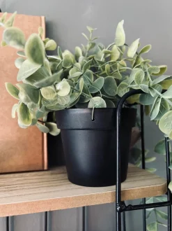 VIAMAJA Hænge Planter|Blomster<Hængeplante - Mint grøn