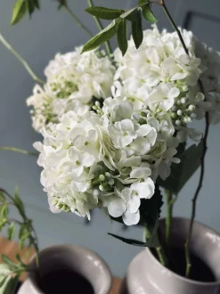 VIAMAJA Blomster<Hortensia Hvid