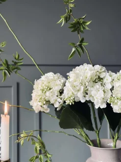 VIAMAJA Blomster<Hortensia Hvid