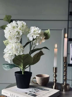 VIAMAJA Blomster|Sommerhus<Hortensia i potte - Hvid