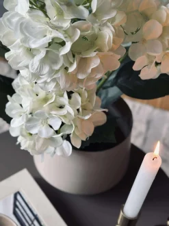 VIAMAJA Blomster|Sommerhus<Hortensia i potte - Hvid