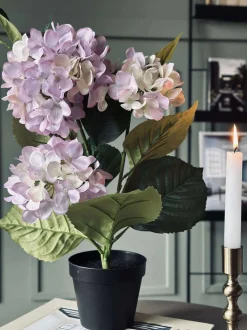 VIAMAJA Blomster|Sommerhus<Hortensia i potte - Syren