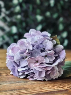 VIAMAJA Blomster<Hortensia Lilla