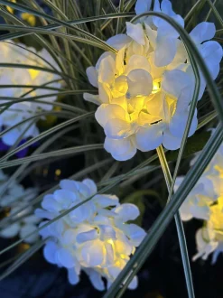 VIAMAJA Lys Og Led|Udendørs Led<Hortensia med solceller - Hvid